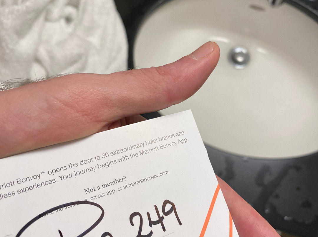 Detroit Metro Airport Marriott主图