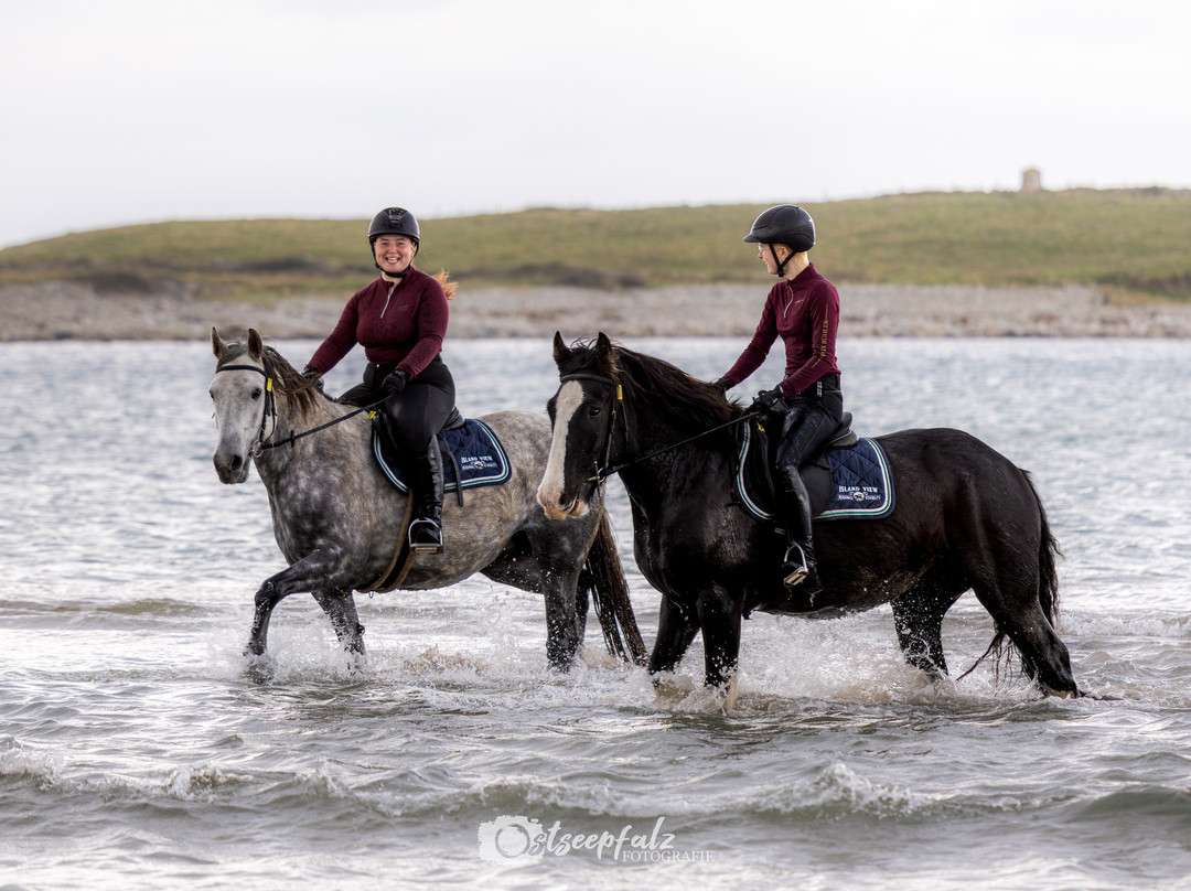 Island View Riding Stables-Grange必去景点