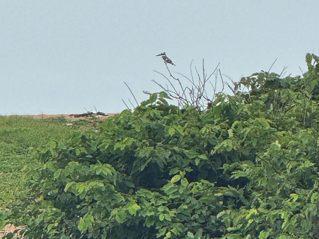 Belle Azure-蒙罗维亚必去景点