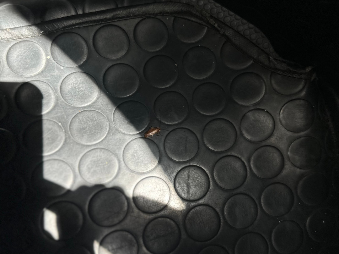 Mauri Tours-Plaine Magnien必去景点