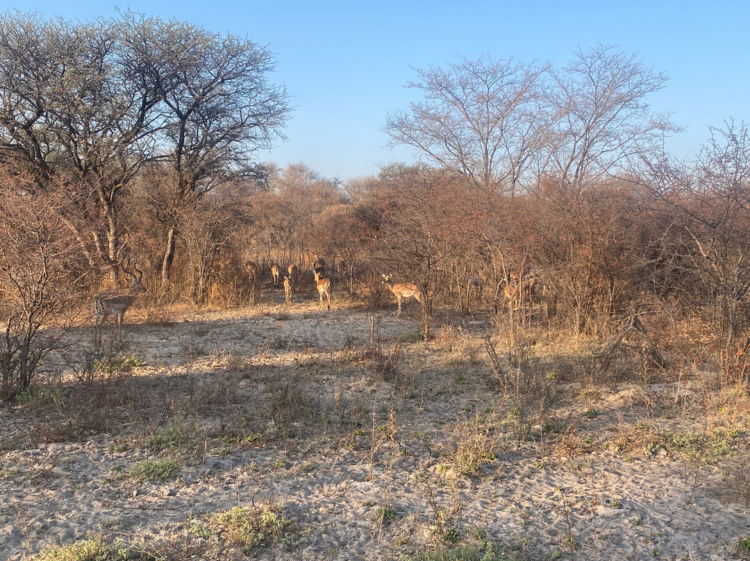 Khama Rhino Sanctuary-Serowe必去景点