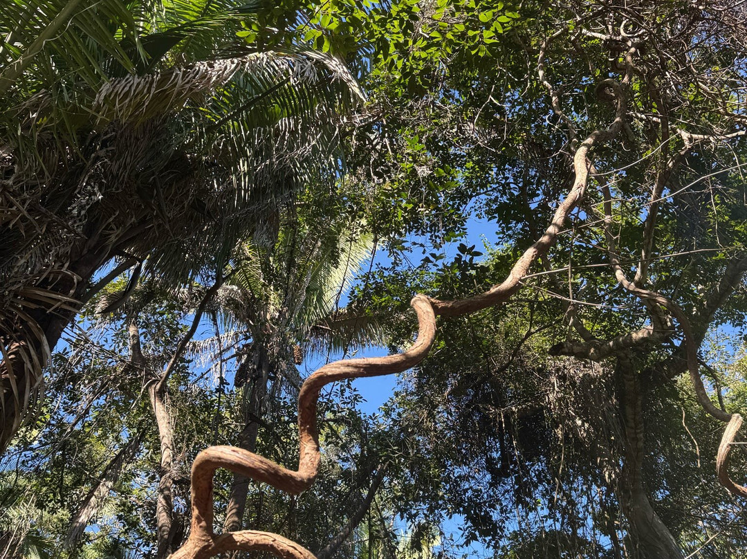 Mystic Embrace-Chacala必去景点