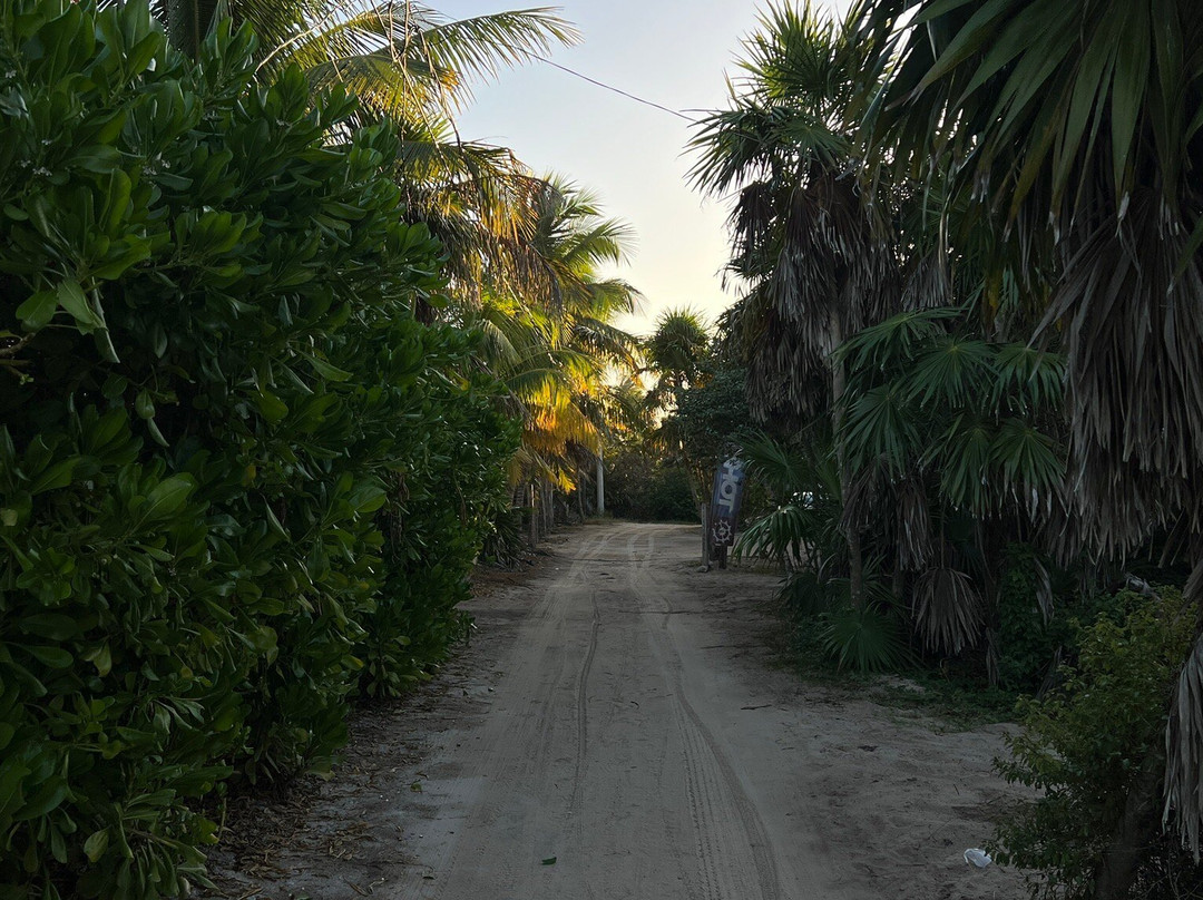 Casa Mia El Cuyo Eco Beach Boutique主图