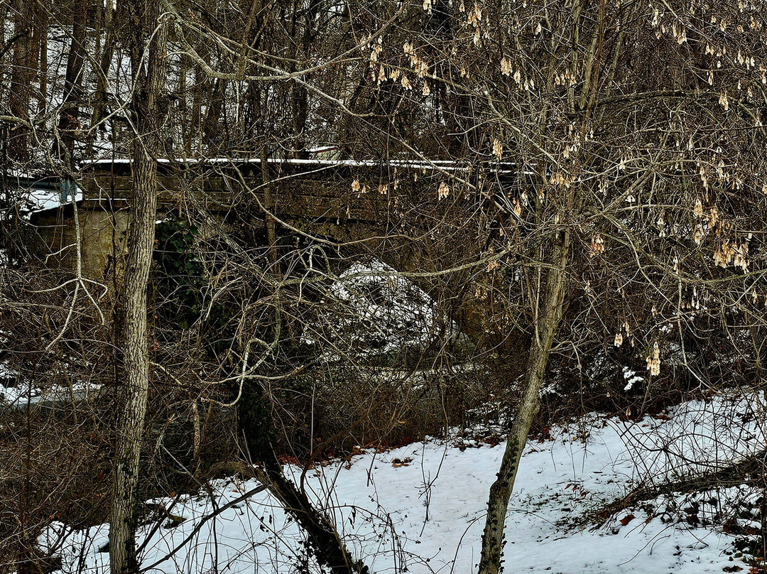 Lake Fanny Road Bridge-Bel Air必去景点