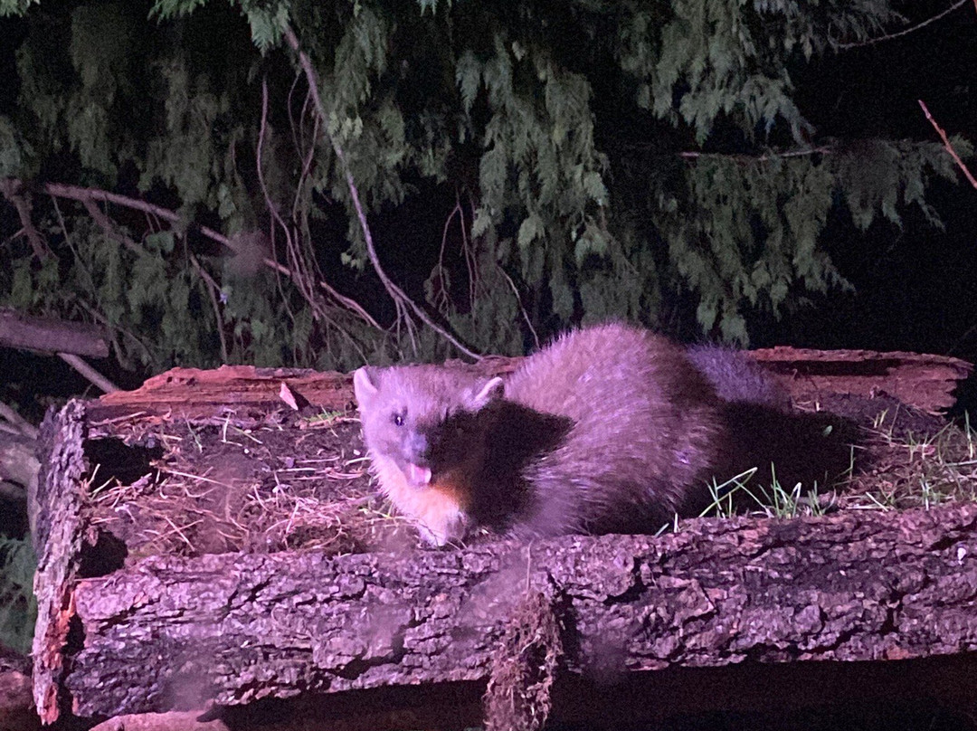 Speyside Wildlife-阿维莫尔必去景点