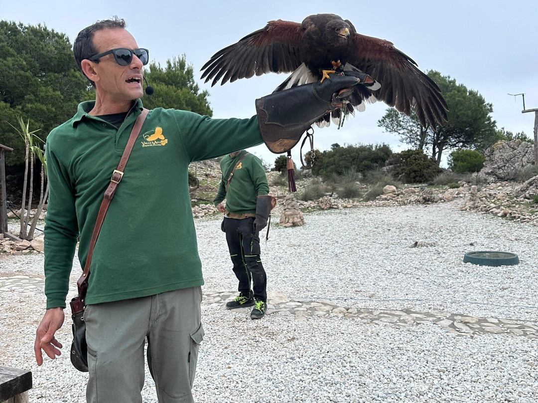 Garden of Eagles (Jardin de Las Aguilas)-班纳玛德纳必去景点