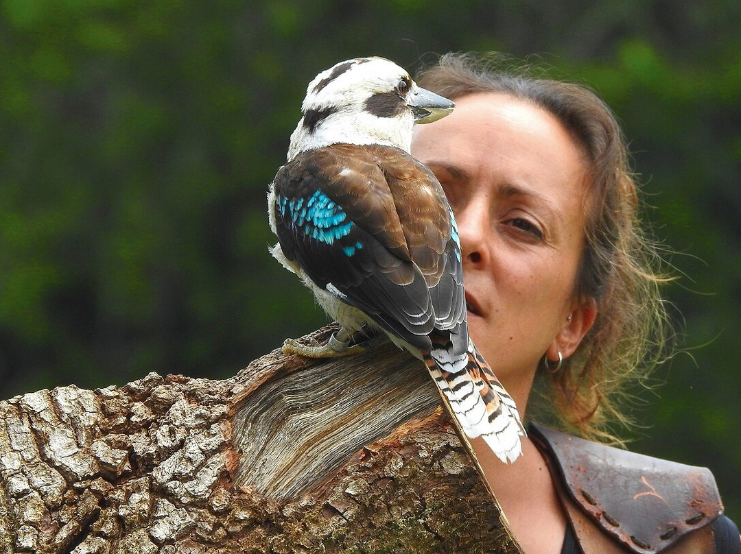 Parc Animalier et Botanique de Branféré-Le Guerno必去景点