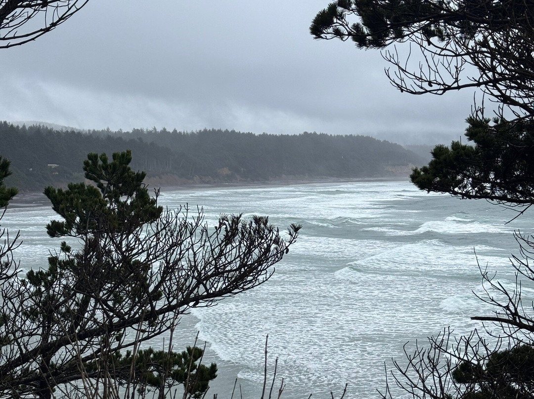 Flying Dutchman Winery-Otter Rock必去景点