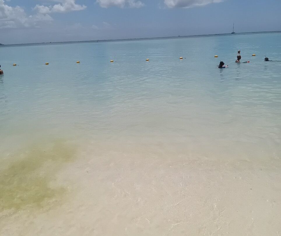 蒙舒瓦西海滩-蒙特乔伊喜必去景点