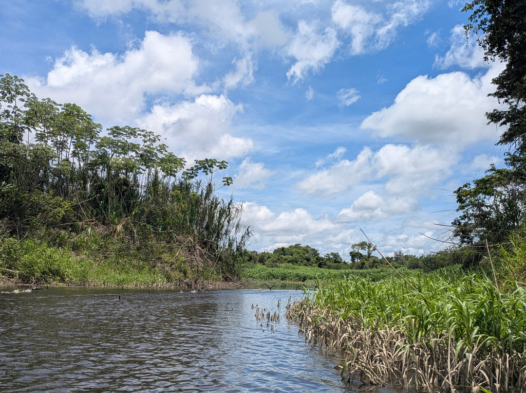 CHUCHINI Amazon Wildlife Reserve & Eco Lodge-Trinidad必去景点