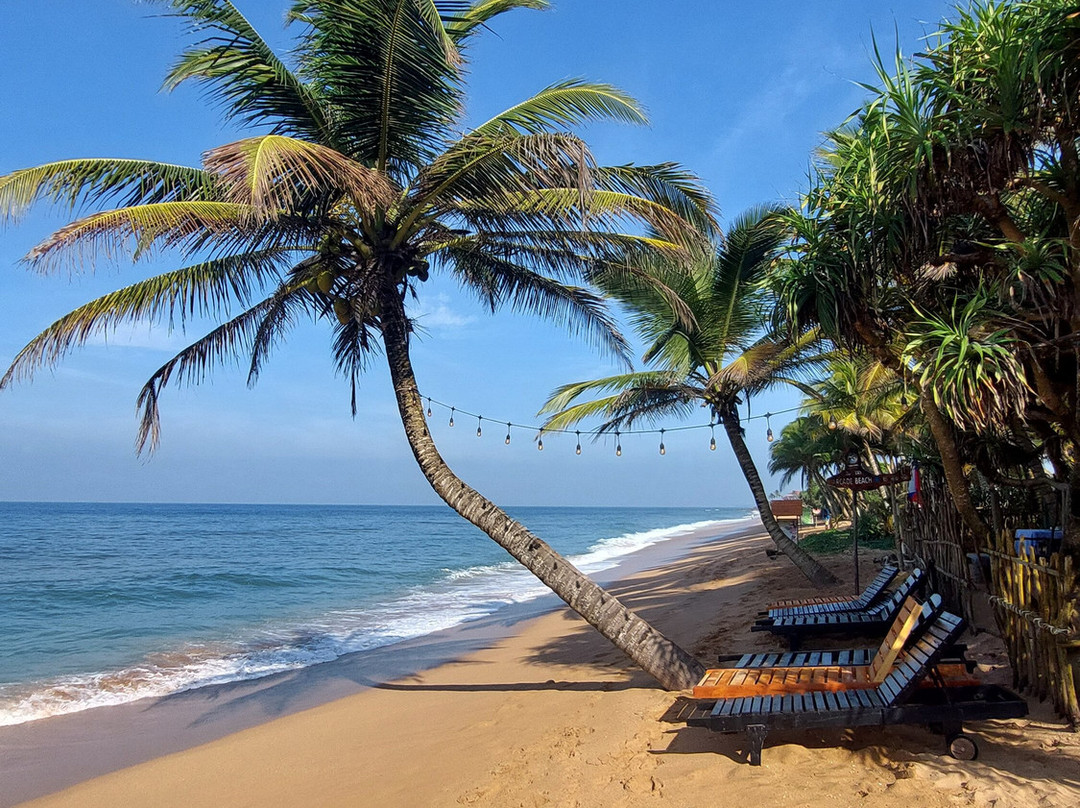 Arcade Beach Hotel主图