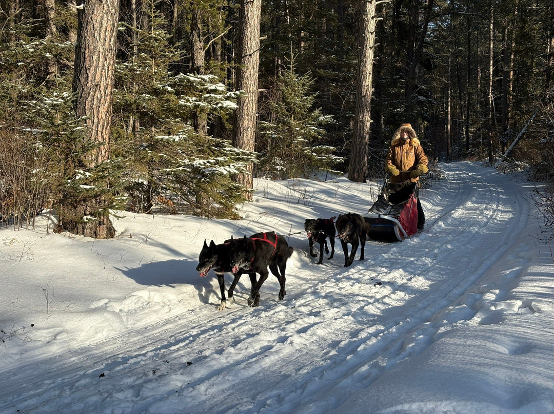 White Wilderness Sled Dog Adventures-伊利必去景点