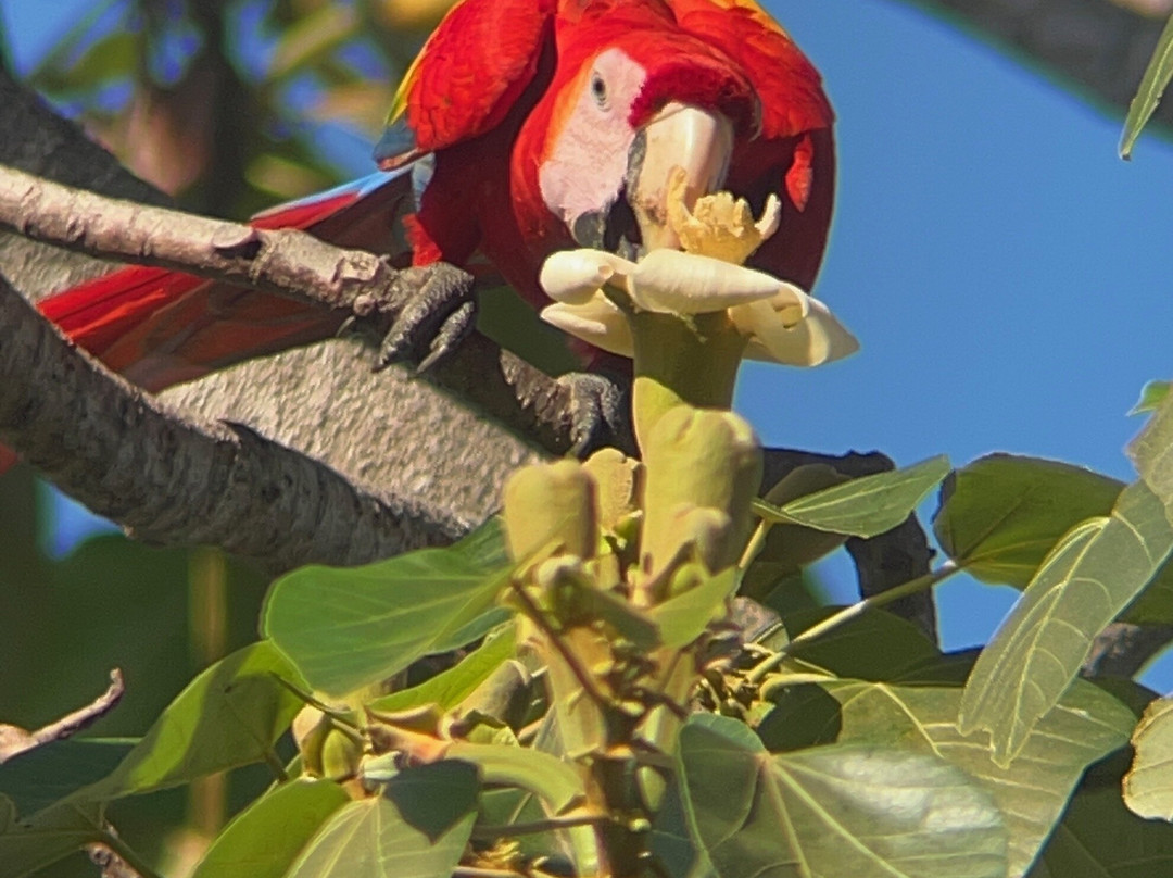 0S3 Private Tours-哈科必去景点