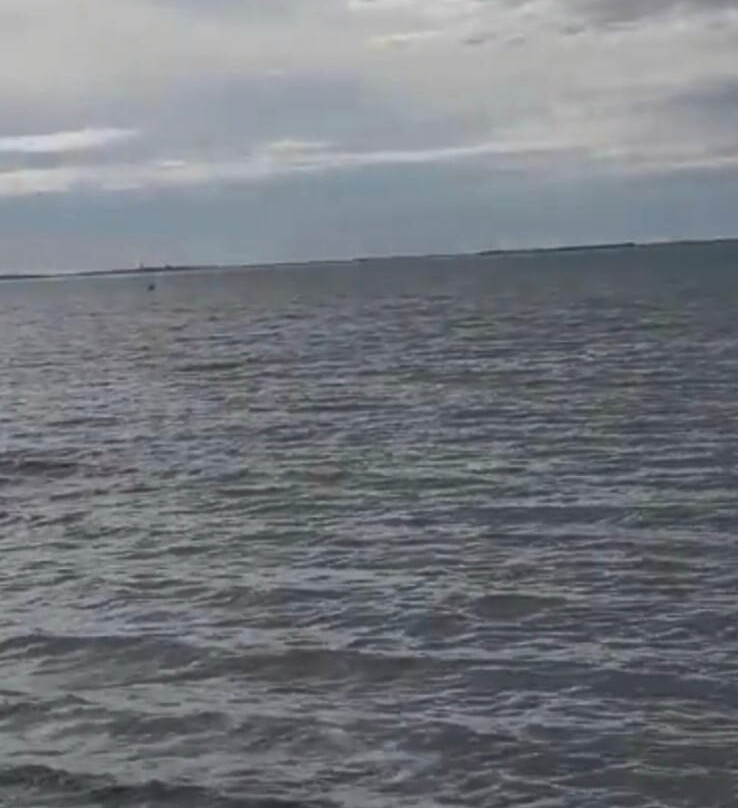 Cochin Public Beach-Cochin必去景点