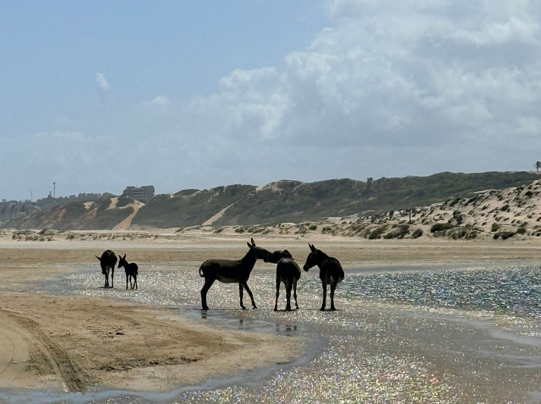 Kite On-Lagoinha必去景点