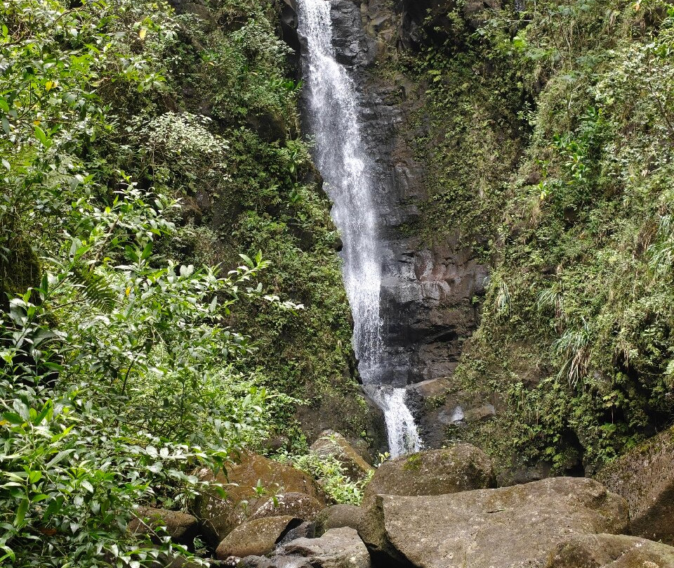 Hike Kauai With Me-普林斯维尔必去景点
