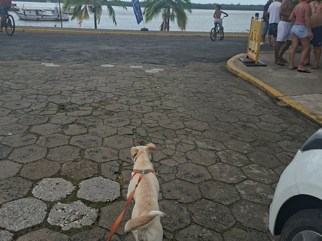 Praia Do Pereirinha-卡纳内亚必去景点