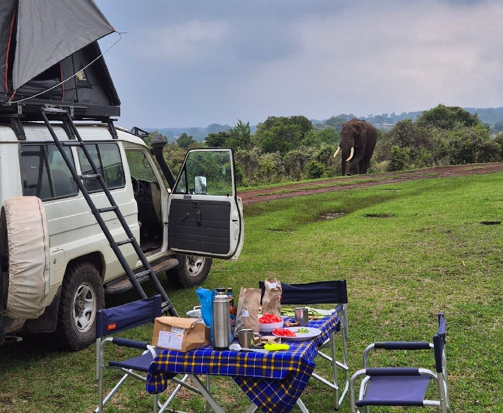 Fortes Africa-姆万扎必去景点