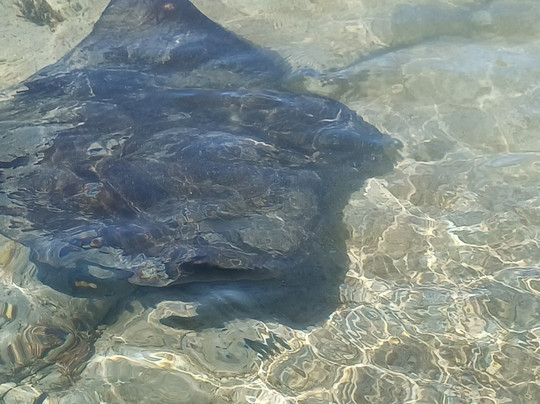 Dive Tatapouri-Gisborne Region必去景点