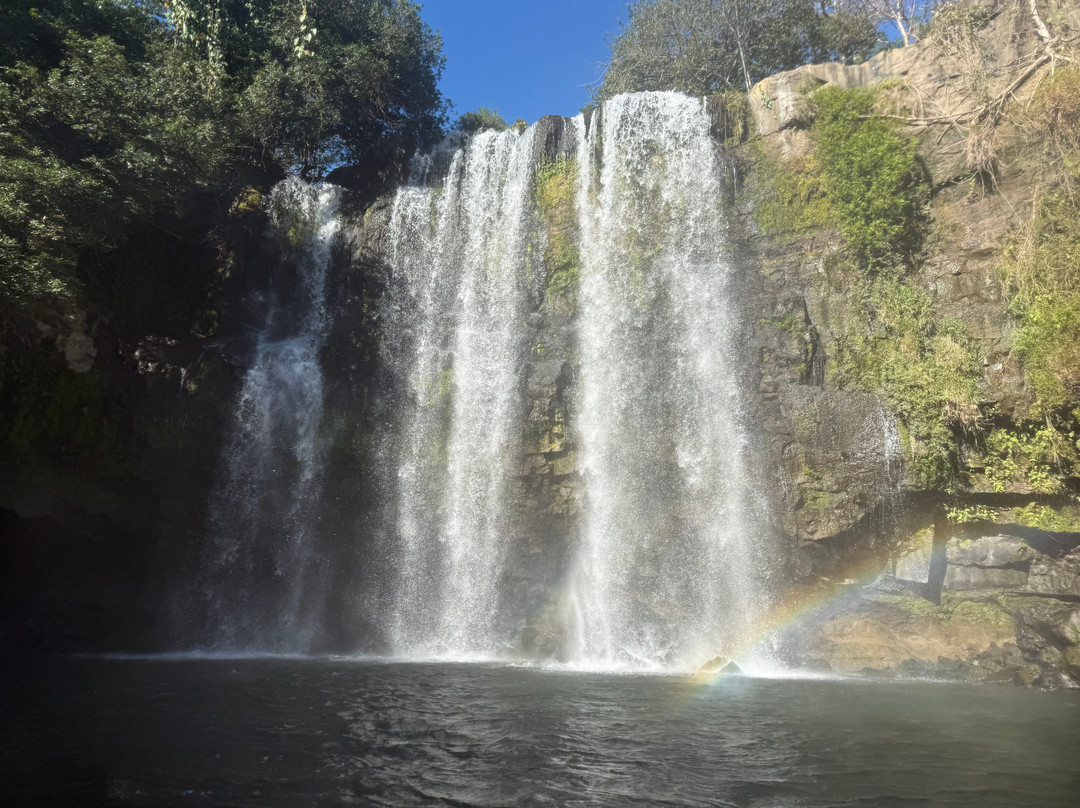 Pura Vida Concierge Services-塔马林多必去景点