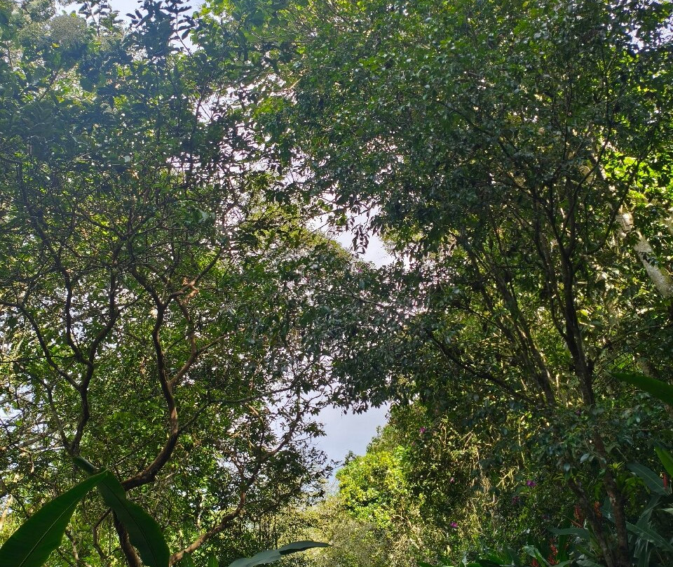 Parque Arqueológico Alto de los Ídolos-Isnos必去景点