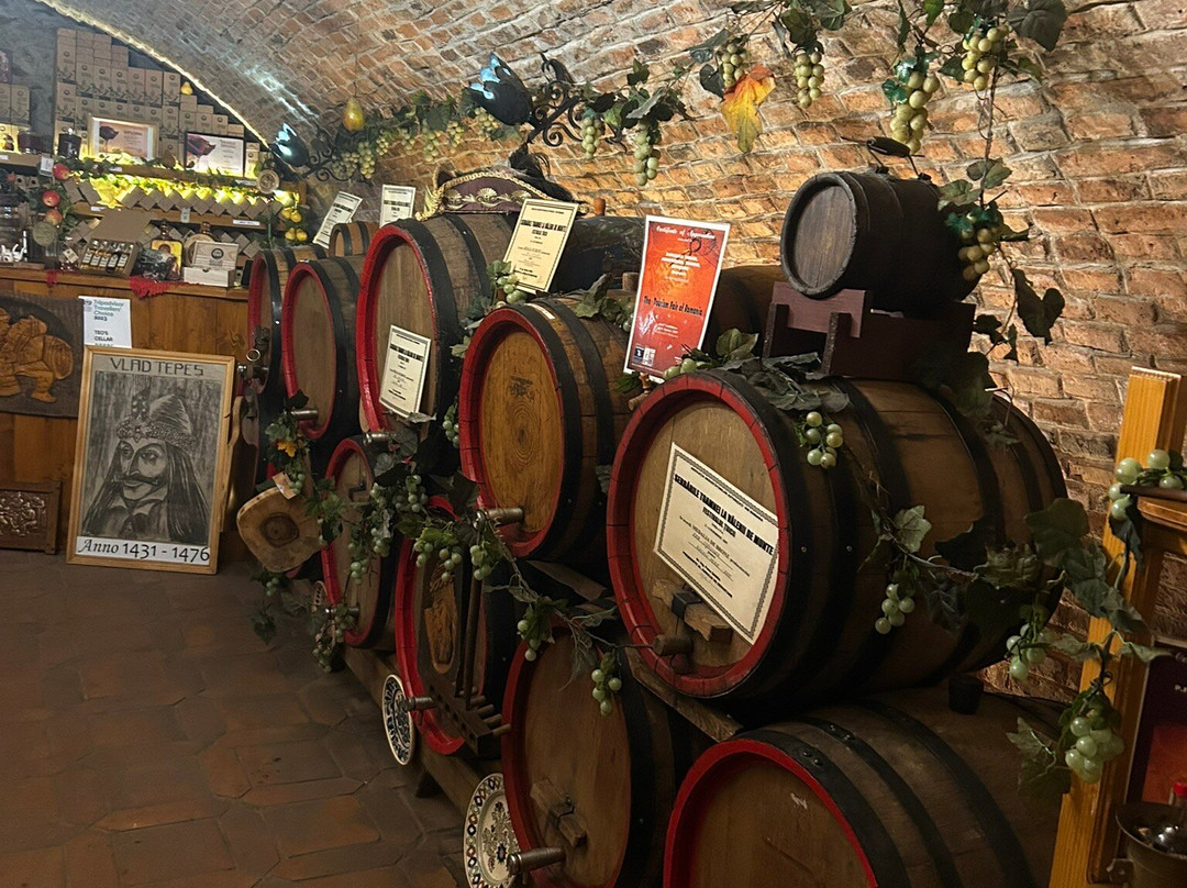 Pivnita lui Teo - Teo's Cellar-锡吉索拉必去景点