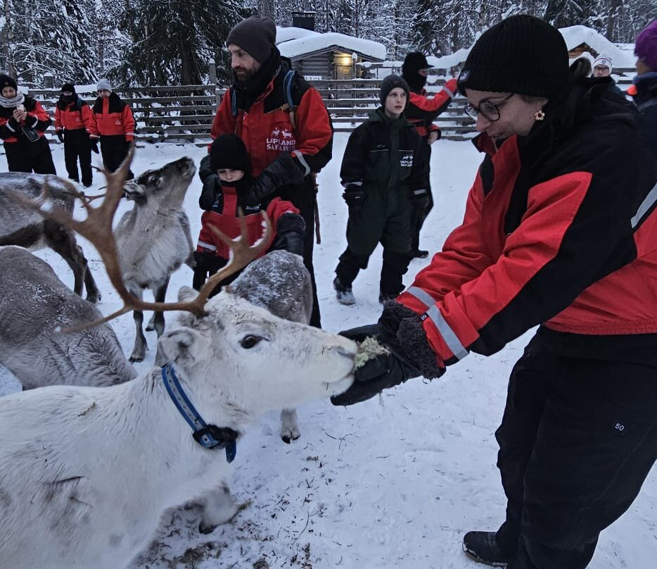 Lapland Safaris Yllas-Akaslompolo必去景点