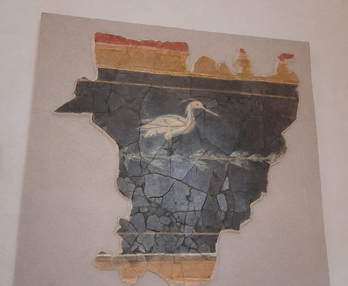 Museo de la Ciudad-卡莫纳必去景点