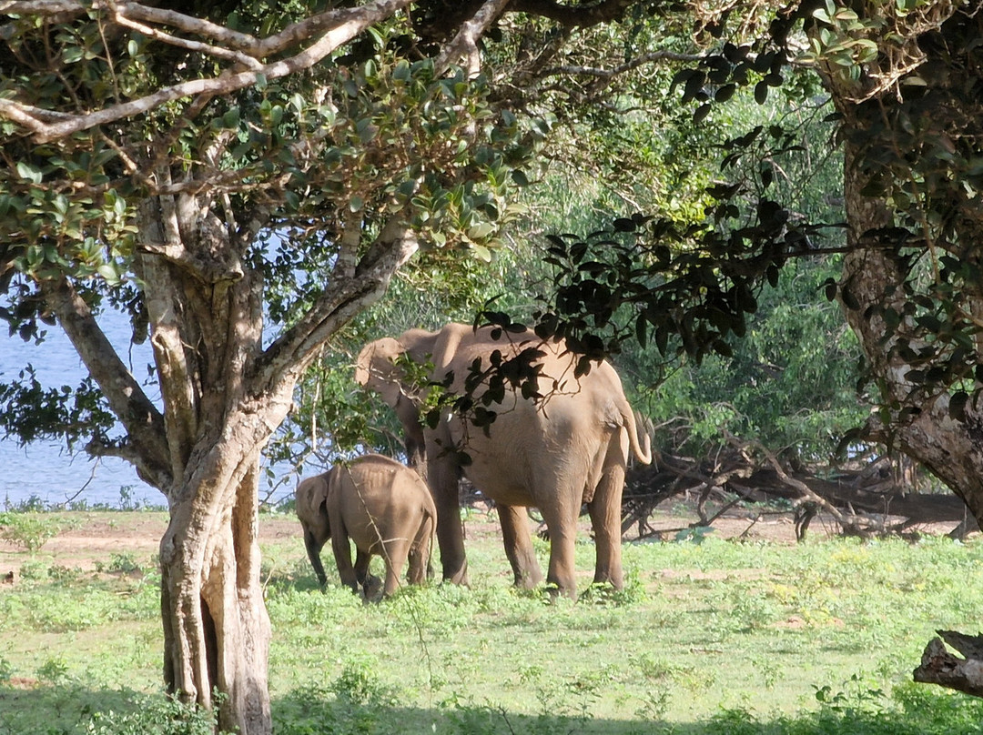 Yala National Park-雅拉国家公园必去景点