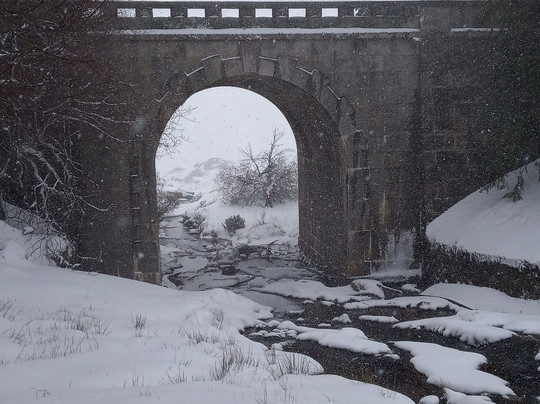 Zé Da Montanha主图