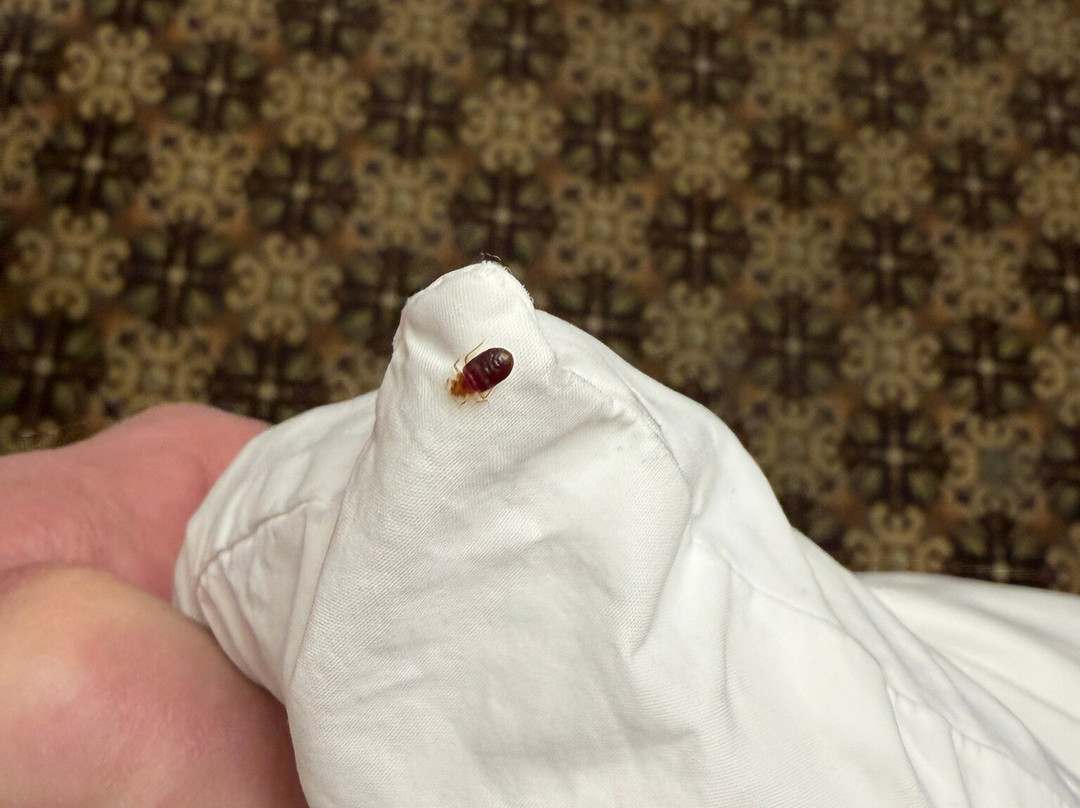 伊尼德希尔顿恒庭旅馆&套房酒店主图