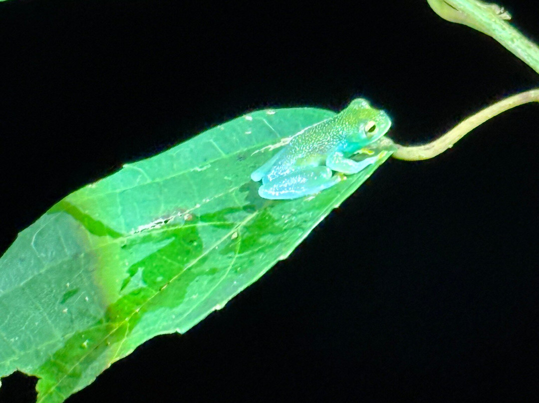 Eco Expeditions CR-希门尼斯港必去景点