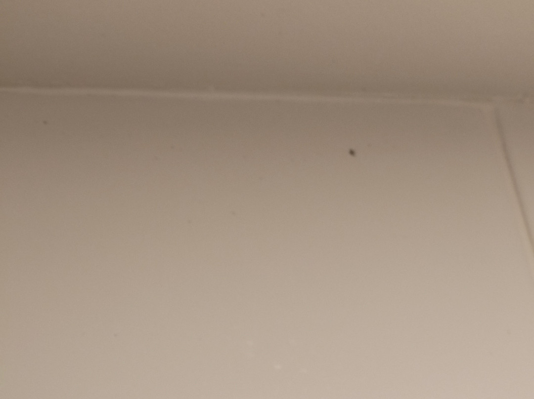 陶波湖区度假酒店主图