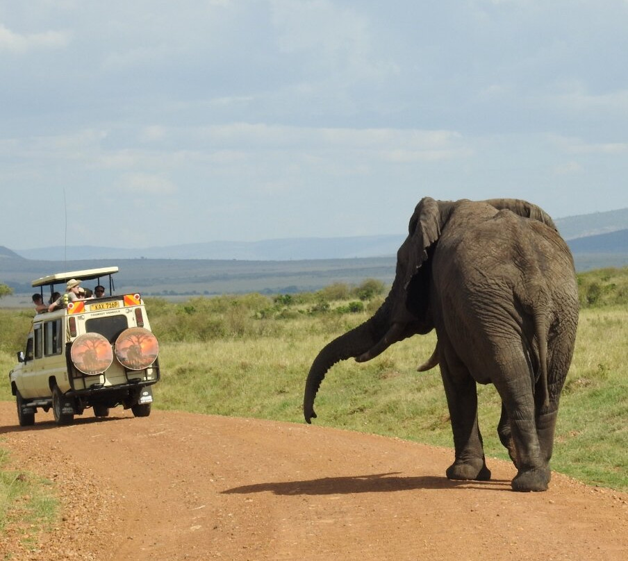 Maasai Mara National Reserve-纳罗克必去景点