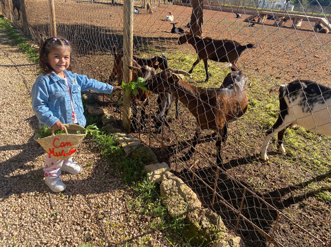 Finca Ecológica Can Musón-圣欧拉利娅尔德里奥必去景点