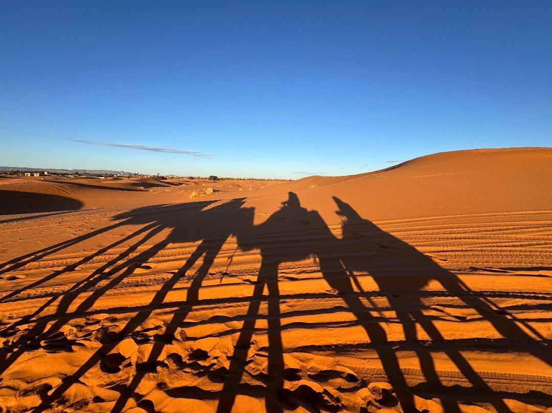 Morocco Tour Companies-非斯必去景点