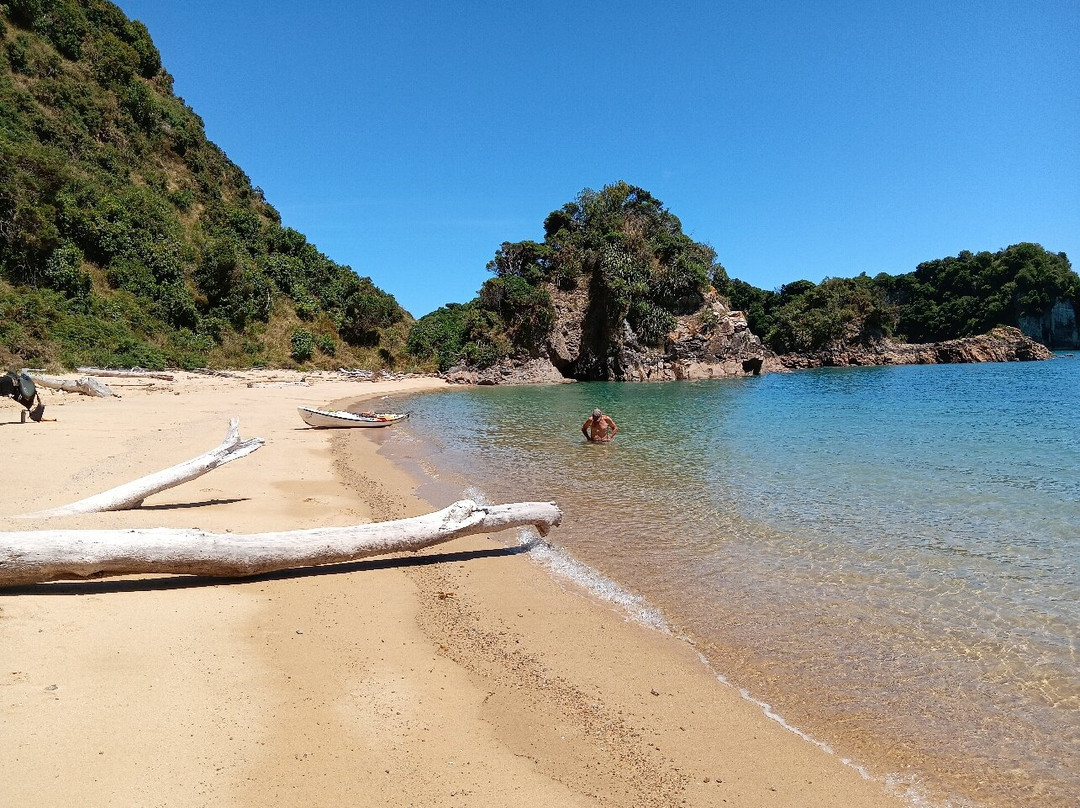 Golden Bay Kayaks-塔卡卡必去景点