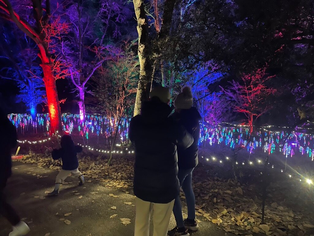 Light Up Trails-罗姆西必去景点