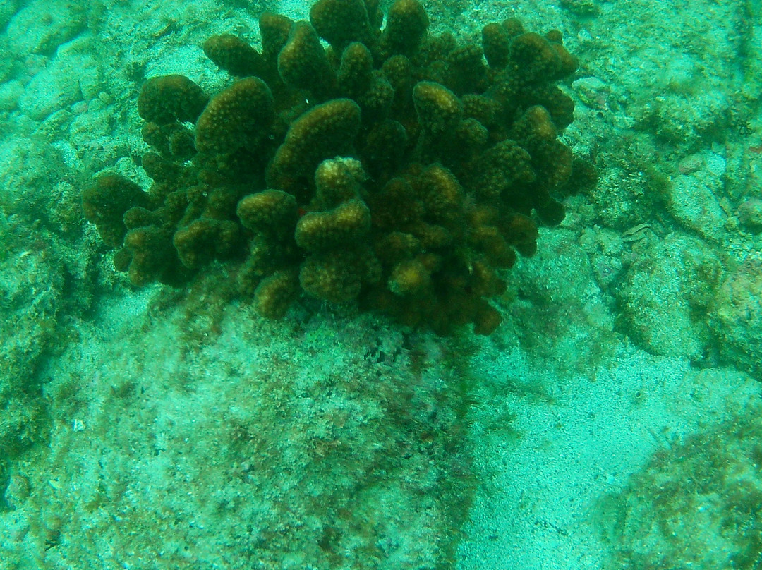 Blue Nation-洛雷托必去景点