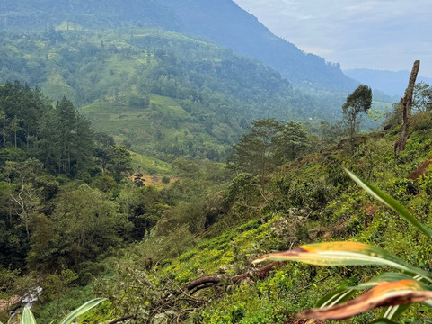 KIA Lanka Travels-康提必去景点