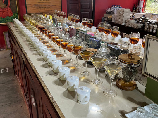 Handunugoda Tea Estate-阿杭玛必去景点