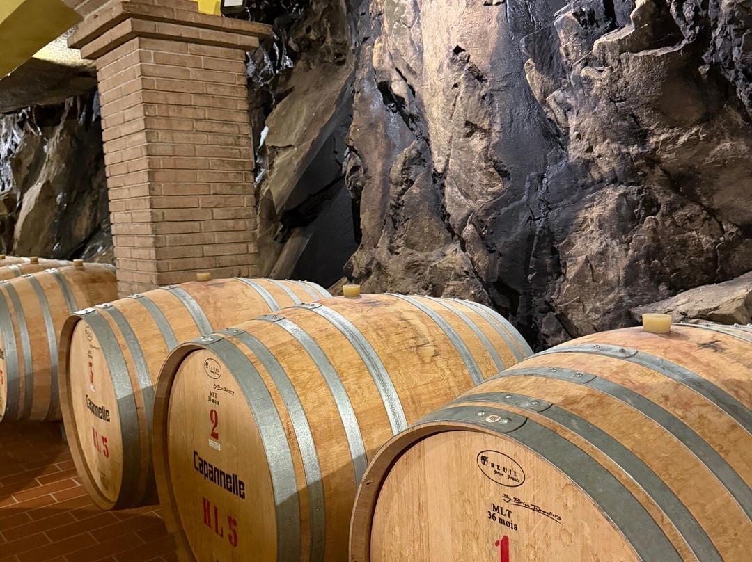 卡潘尼尔葡萄酒度假酒店主图