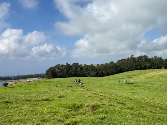 Na'alapa Stables - Kahua Ranch-卡慕也拉必去景点