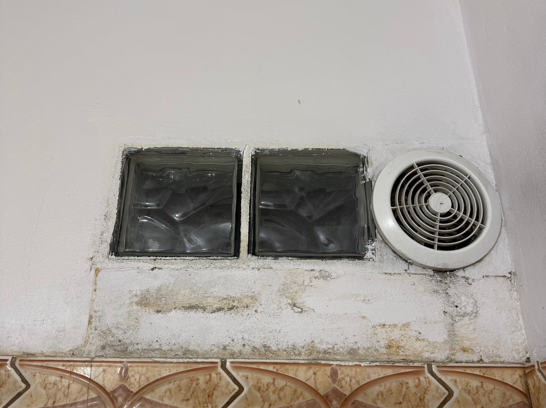 Soluxe El Sesteo主图