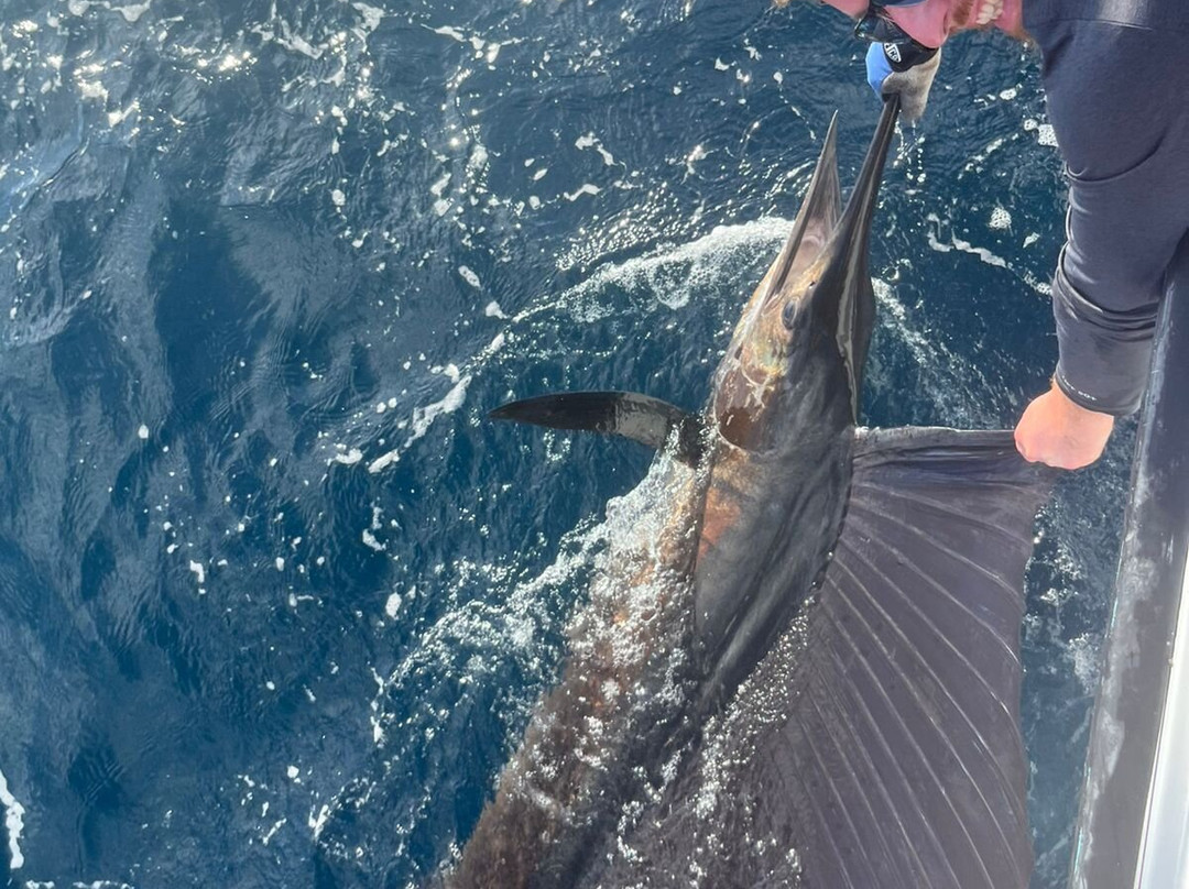 Tamarindo Sportfishing-塔马林多必去景点