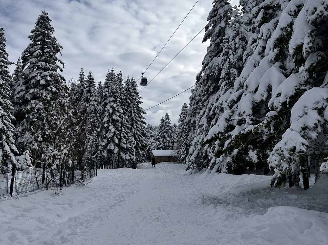 Bursa Teleferik-布尔萨必去景点