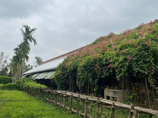 Le Duc Ha Terra Cotta Workshop-Dien Ban必去景点