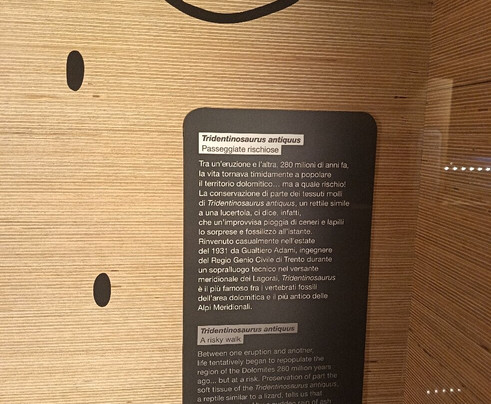 Geological Museum of the Dolomites-普雷达佐必去景点