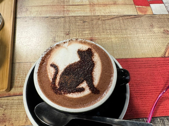 Neko Ngeru Cat Cafe-下赫特必去景点