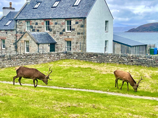 Applecross Beach-Applecross必去景点